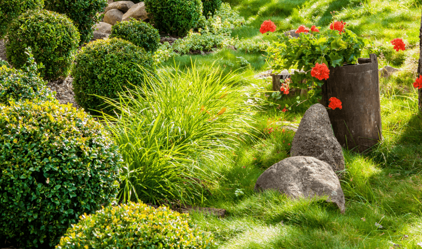 Landscape Installation