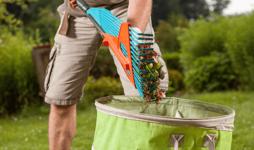 Yard Clean-Up